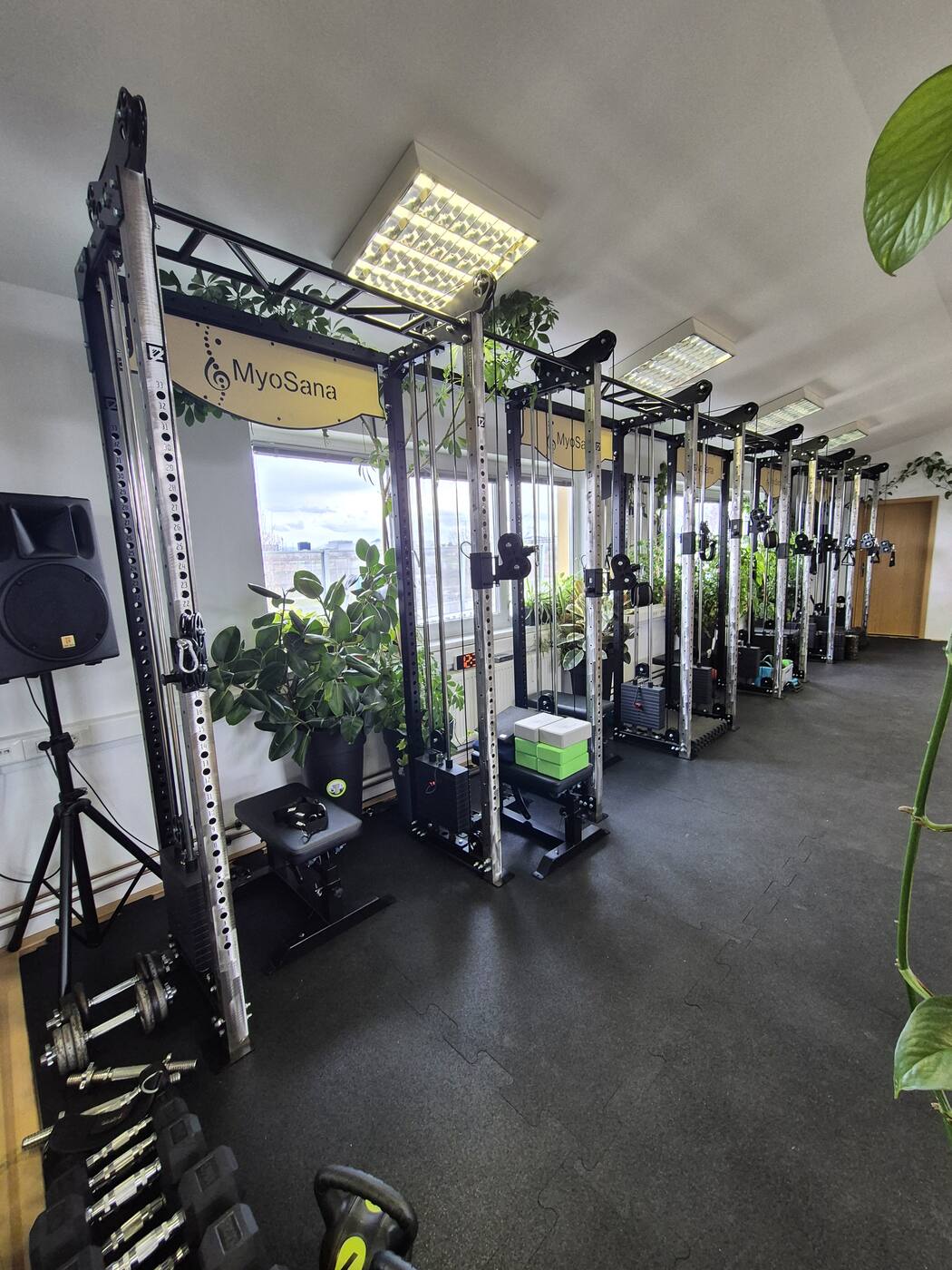 MySana fitnes studio